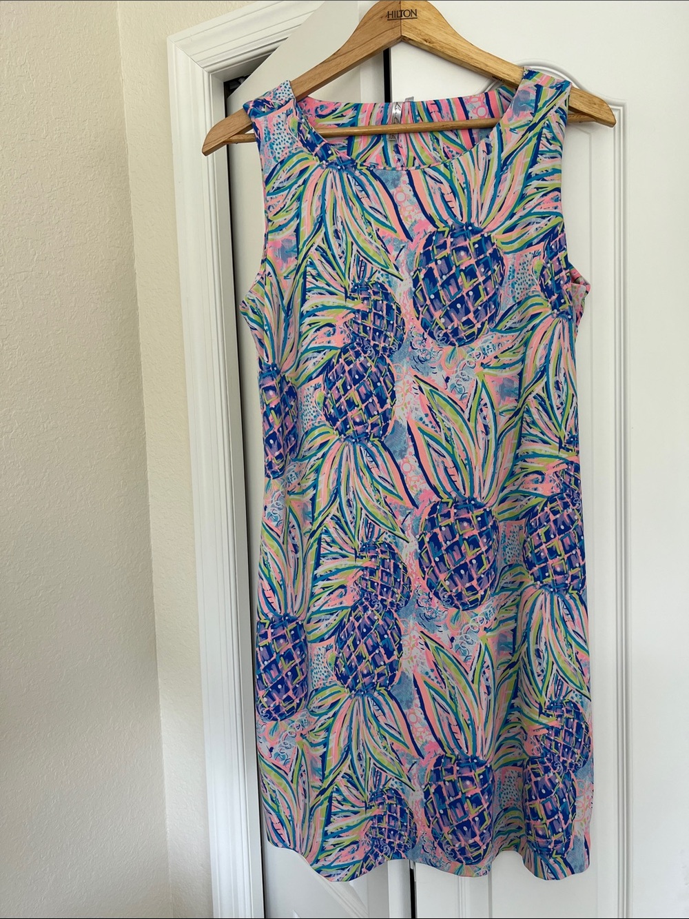 Lulu-B Pink and Blue Pineapple Print Mini Dress - Picture 3 of 6